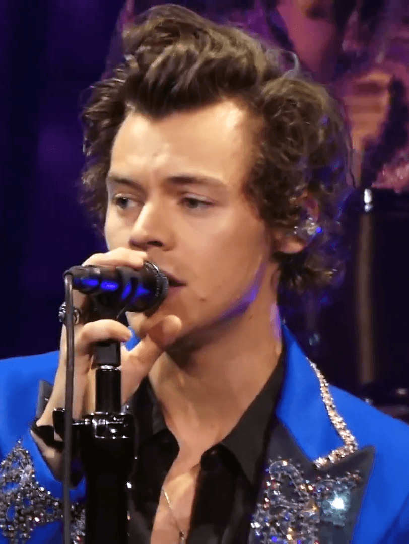 Datos que seguro no sabías de Harry Styles 