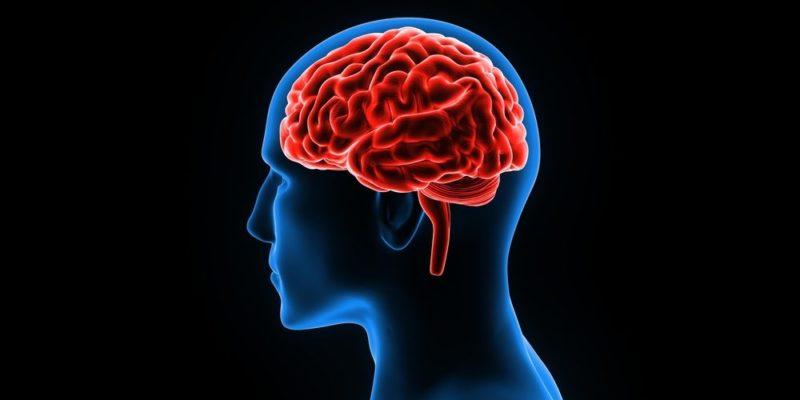 Sabías cuánta energía consume tu cerebro?
