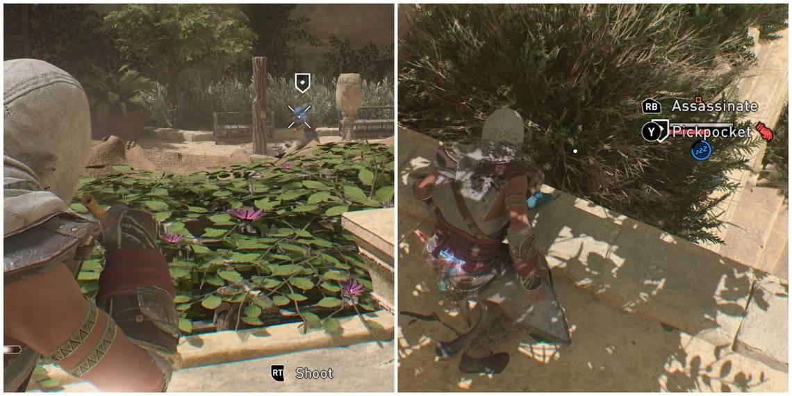 "Assassin's Creed Mirage: Cómo robar a un guardia afectado por un dardo soporífero (Logra el logro 'Duermes, Pierdes')"