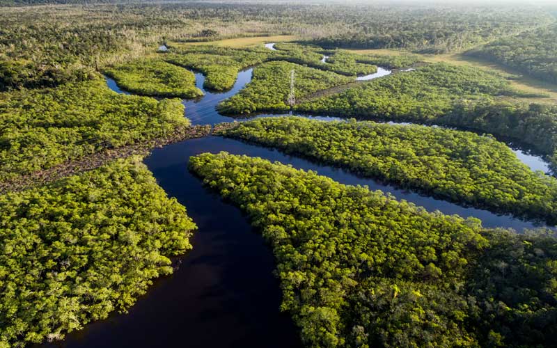 amazonas