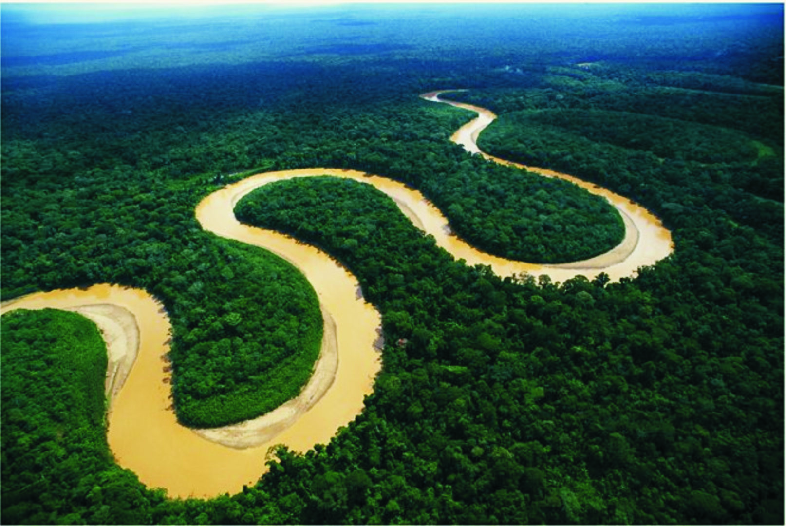 amazonas