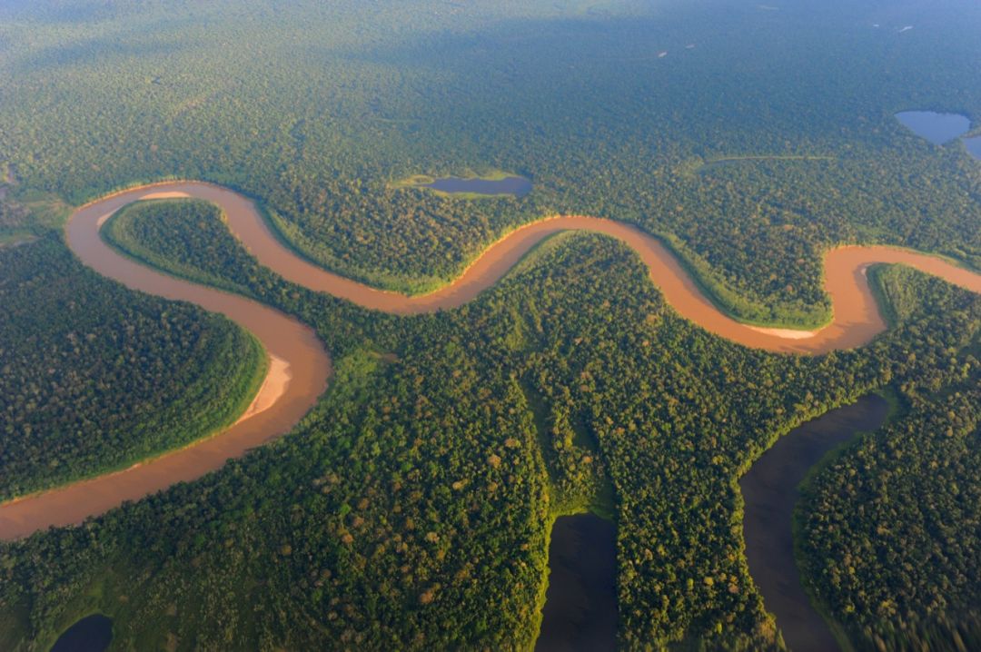 amazonas